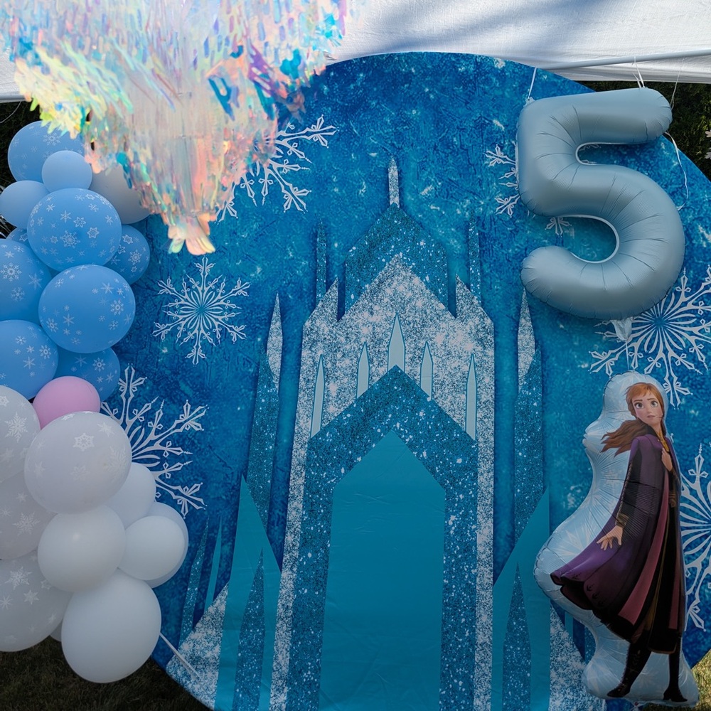 Frozen Photo Backdrop - Picture 3 of 5